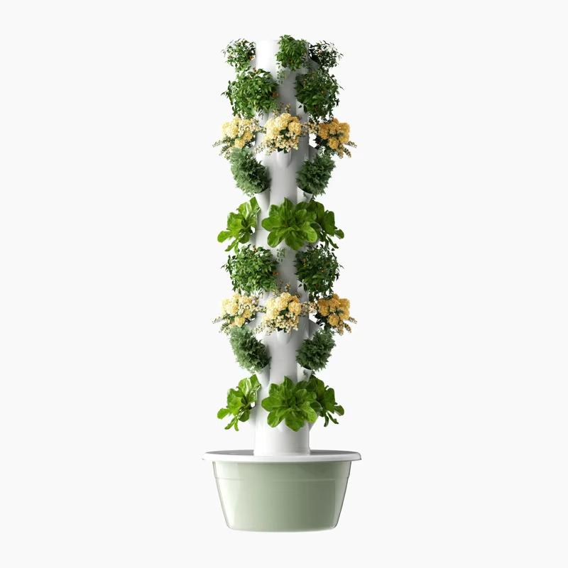 Hydroponic Farming Agriculture - 도시 농업용 모듈식 수경 재배 벽면