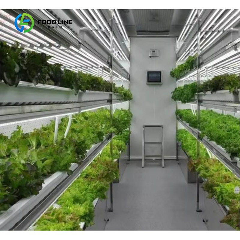 Hydroponic Farming Agriculture - 맞춤형 스마트팜 수직 NFT 수경재배 시스템