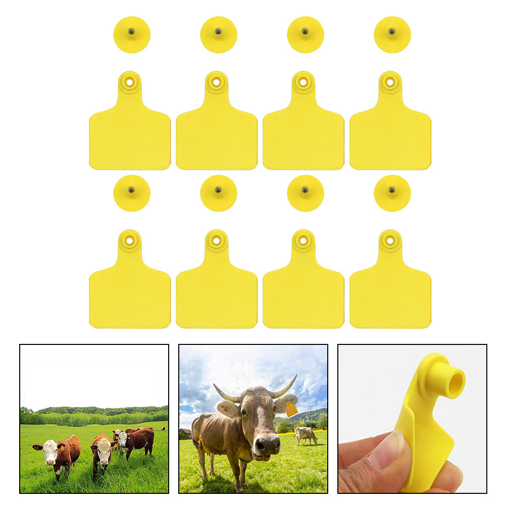 Livestock Ear Tag - 100개 소 귀표지, 플라스틱 소 귀표지,