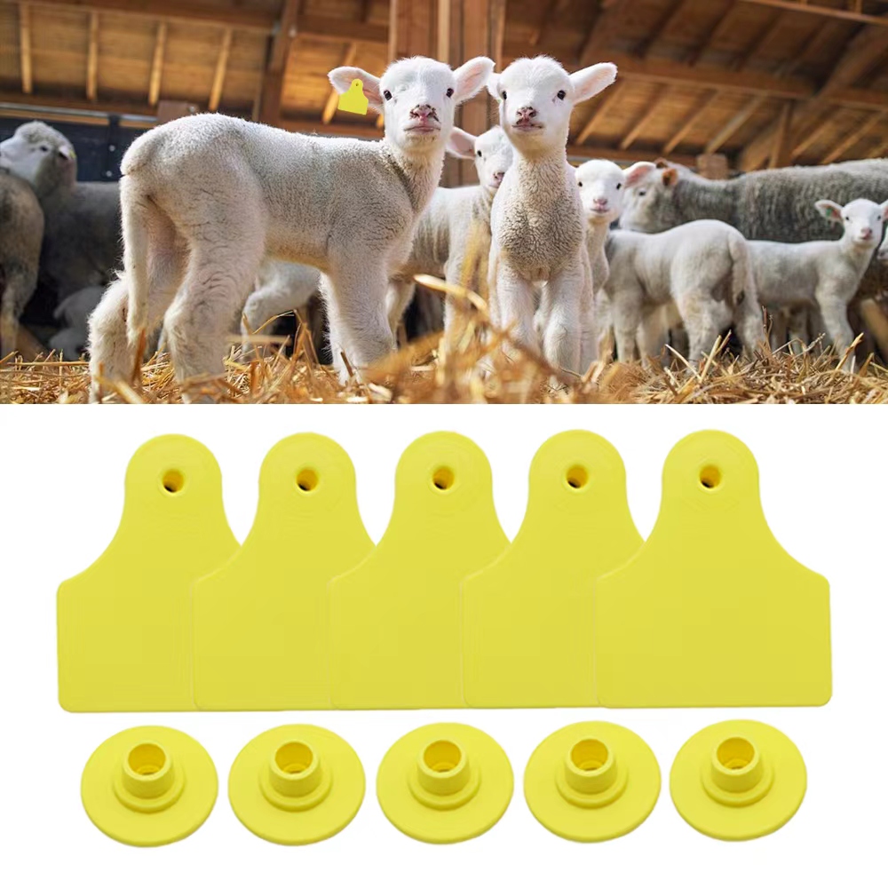 Livestock Ear Tag - 20개 40*50mm 염소 양 소 돼지용