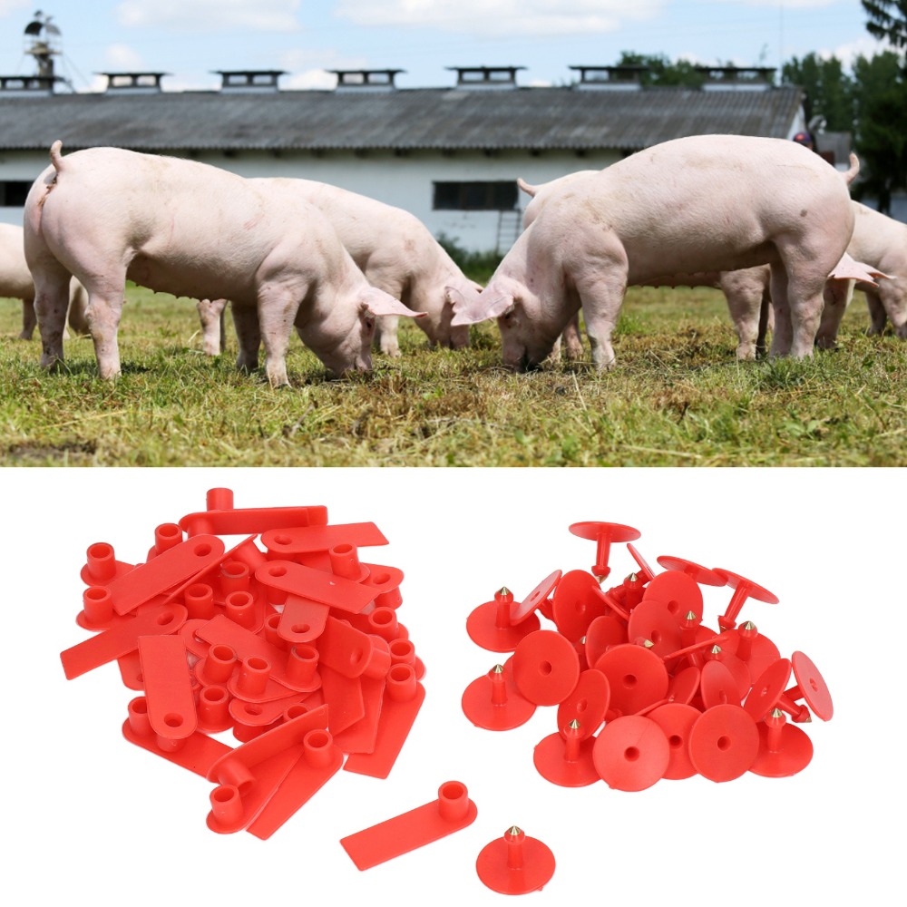 Livestock Ear Tag - 100개 손으로 쓸 수 있는 빈