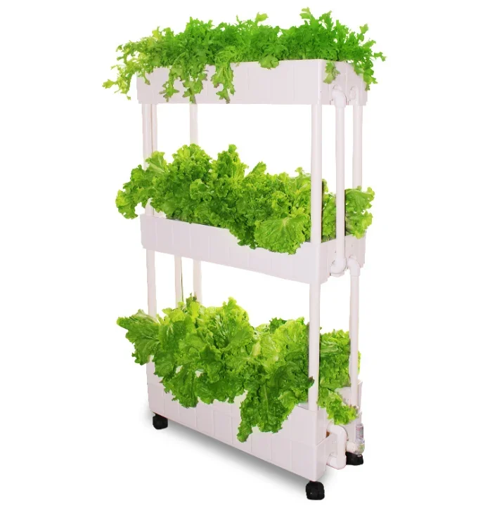 Hydroponic Farming Agriculture - 맞춤형 수경재배 수직형 실내 농장 레드배추