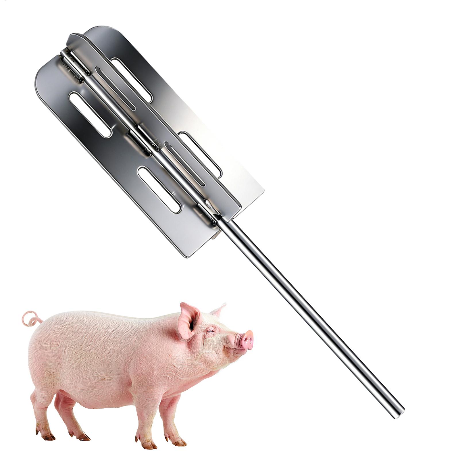 Farming Equipment For Agriculture - 돼지 털 제거 도구 스테인리스 스틸