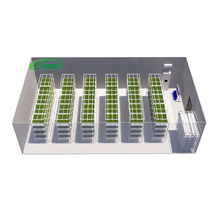 Hydroponic Farming Agriculture - 농업용 온실 상추 NFT 수경재배 시스템