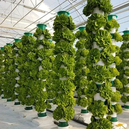 농업용 온실 수직 농업 에어로포닉스 시스템 수경 재배  - Hydroponic Farming Agriculture 리뷰 및 가격