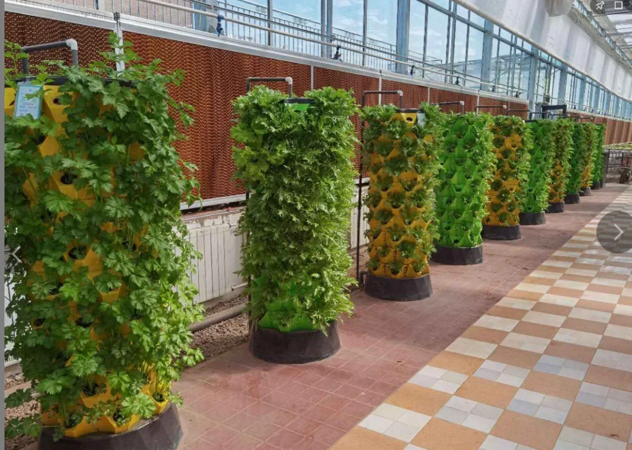 농업용 온실 수직 농업 에어로포닉스 시스템 수경 재배  - Hydroponic Farming Agriculture 리뷰 및 가격