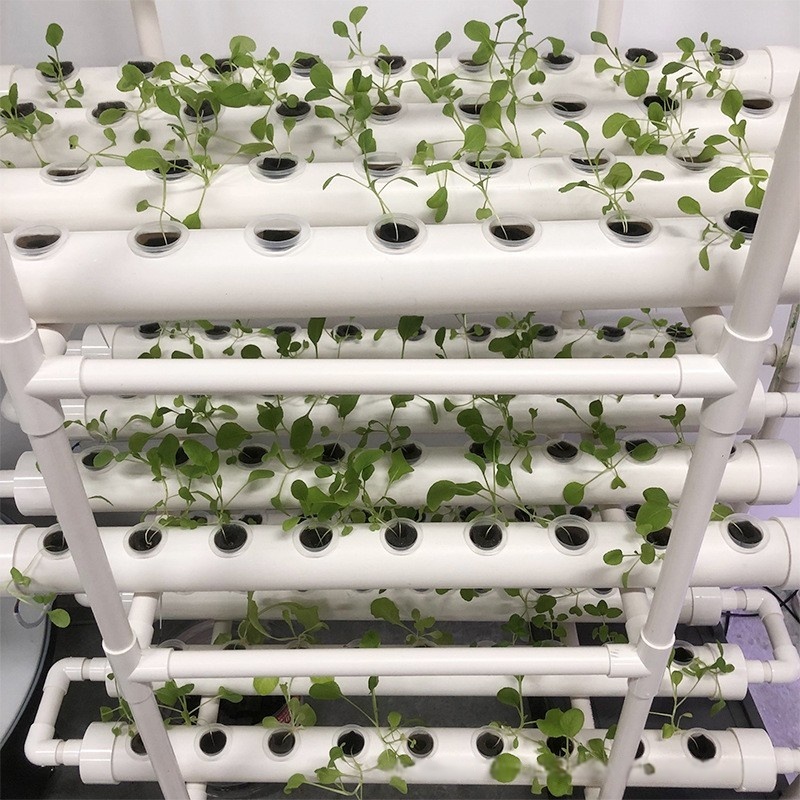수경재배 채널 파이프 PVC 농업용 NFT 수직 농장  - Hydroponic Farming Agriculture 리뷰 및 가격