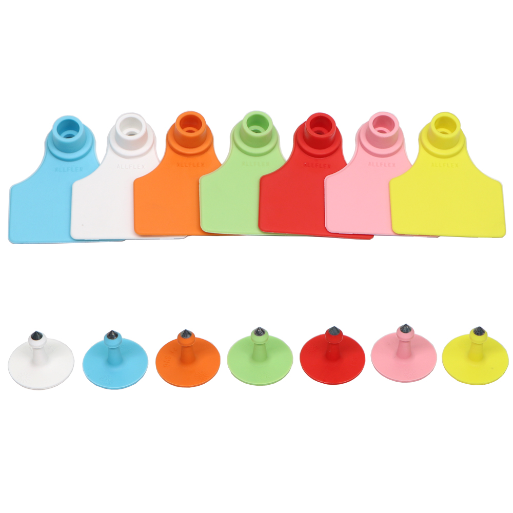 5PCS 돼지 뿌리다 귀 태그 플레이트 단어 없음 빈  - Livestock Ear Tag 리뷰 및 가격