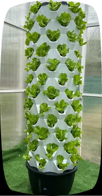 수직 정원 타워 휠 다층 수경 재배 시스템 농업용 수경 - Hydroponic Farming Agriculture 리뷰 및 가격