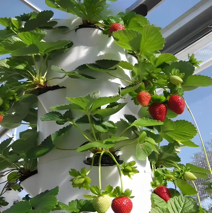 도시 농업용 모듈식 수경 재배 벽면 항공우주 시스템,  - Hydroponic Farming Agriculture 리뷰 및 가격