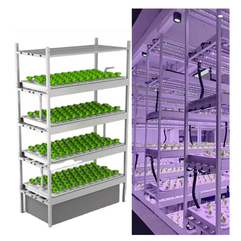 온실 농업 장비 버섯 채소 과일 재배 수직 농장 수경  - Hydroponic Farming Agriculture 리뷰 및 가격