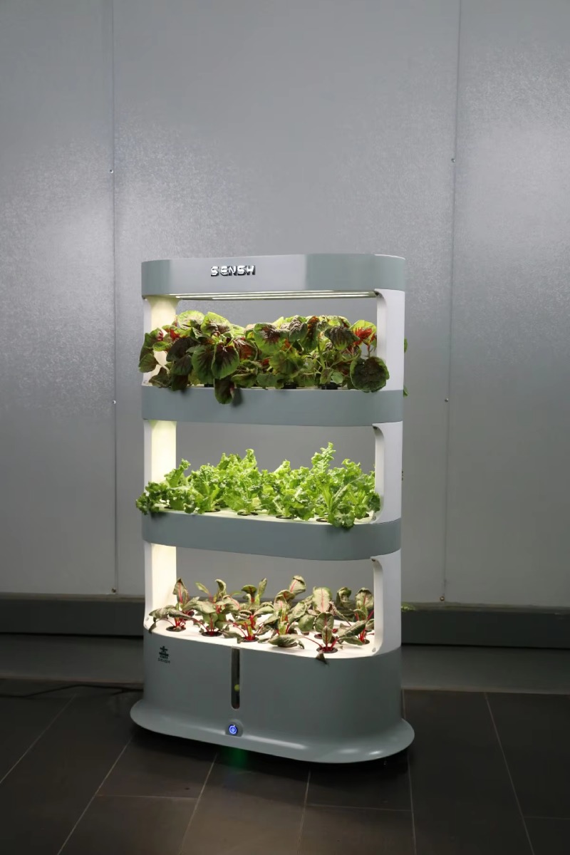 공장 도매 독특한 농장 수경 재배 농업 장비 (실내 식 - Hydroponic Farming Agriculture 리뷰 및 가격