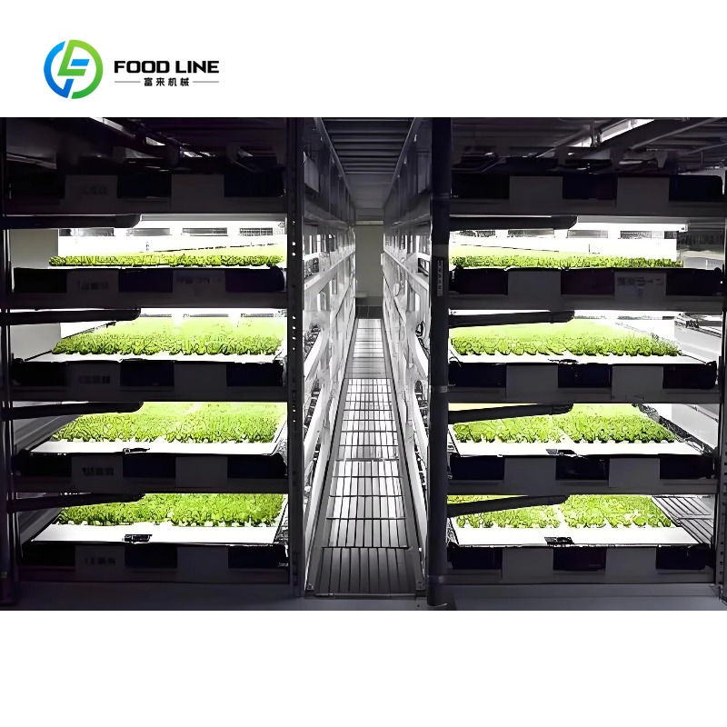 맞춤형 스마트팜 수직 NFT 수경재배 시스템 스틸 컨테 - Hydroponic Farming Agriculture 리뷰 및 가격