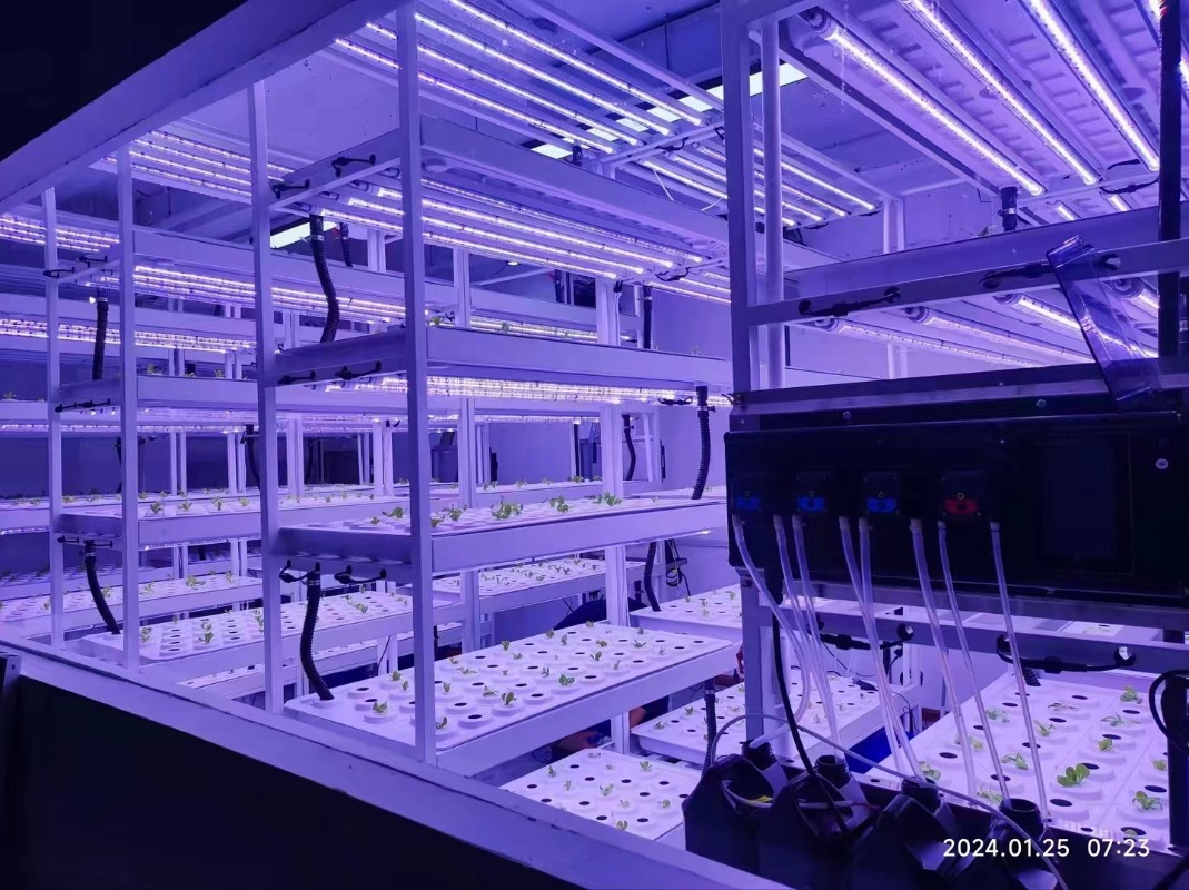 소형 수직 수경 재배 타워 시스템 실내 에어로포닉 농업 - Hydroponic Farming Agriculture 리뷰 및 가격