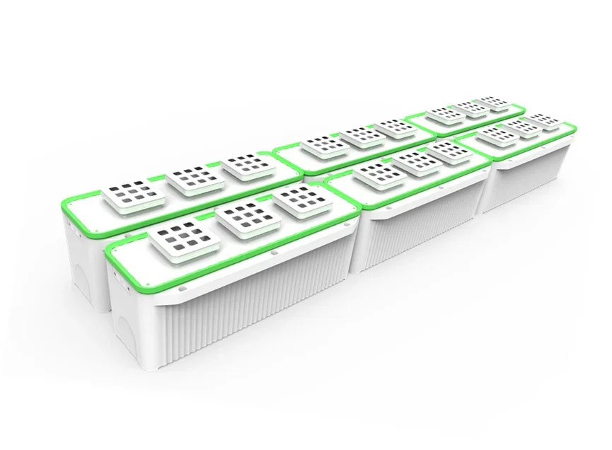 맞춤형 수경재배 수직형 실내 농장 레드배추 재배용 재배 - Hydroponic Farming Agriculture 리뷰 및 가격