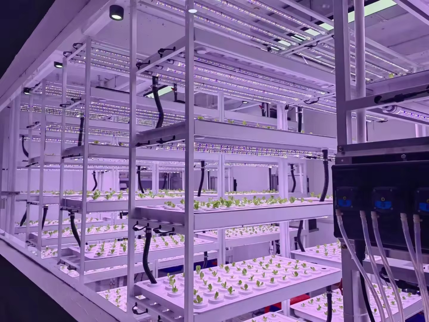 수직 농장 수경 재배 타워 시스템 에어로포닉 재배 타워 - Hydroponic Farming Agriculture 리뷰 및 가격